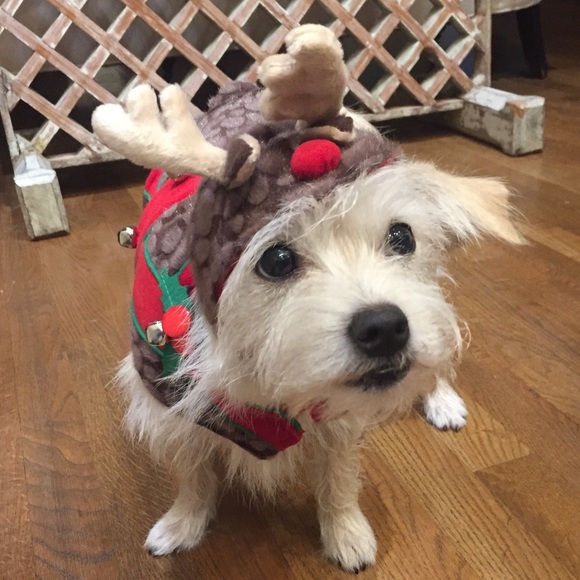 Meet your Posher, Shelli - Picture 1 of 1